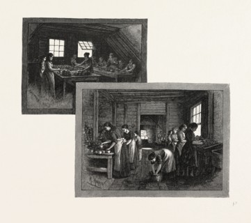 PRINCE EDWARD ISLAND, LOBSTER CANNING, CANADA, NINETEENTH CENTURY ENGRAVING