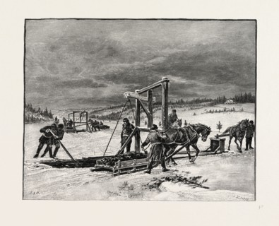 PRINCE EDWARD ISLAND, DIGGING MUSSEL MUD, CANADA, NINETEENTH CENTURY ENGRAVING