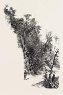 MONTREAL, L'ESCALIER, CANADA, NINETEENTH CENTURY ENGRAVING