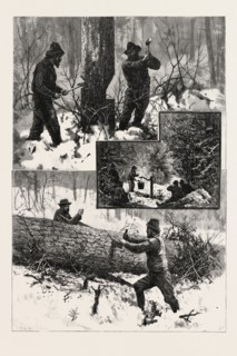 CHOPPING AND SAWING, LUMBERING, CANADA, NINETEENTH CENTURY ENGRAVING
