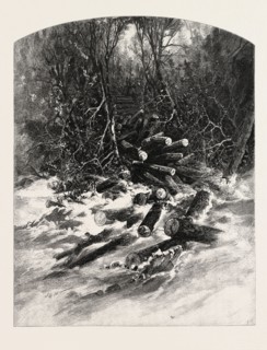THE ROLLWAY, LUMBERING, CANADA, NINETEENTH CENTURY ENGRAVING