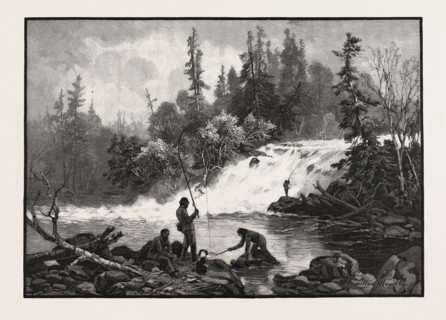 A TROUT POOL ON THE NEPIGON, CANADA, NINETEENTH CENTURY ENGRAVING