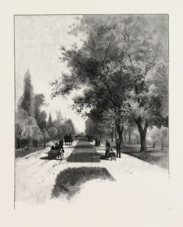 TORONTO, COLLEGE AVENUE (QUEEN STREET), CANADA, NINETEENTH CENTURY ENGRAVING
