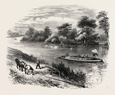 Magna Charta Island, in the river Thames, England, UK, britain, british, europe, united kingdom,