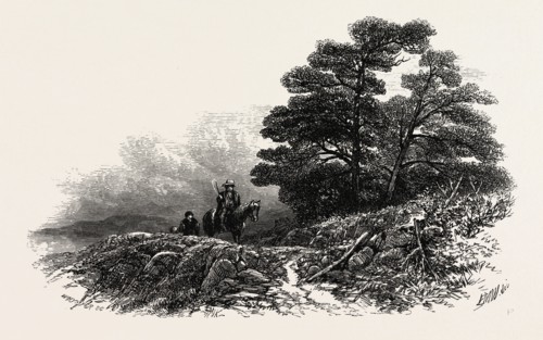 Mountain Path near Capel Curig, UK, britain, british, europe, united kingdom, great britain,