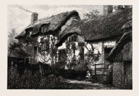 ANNE HATHAWAY'S COTTAGE,  Stratford upon Avon, Stratford-upon-Avon, UK, britain, british, europe,