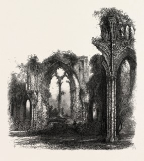 Netley Abbey, UK, britain, british, europe, united kingdom, great britain, european