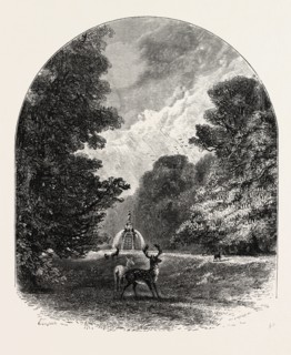 The Chestnuts and deer in Bushey Park, UK, britain, british, europe, united kingdom, great britain,