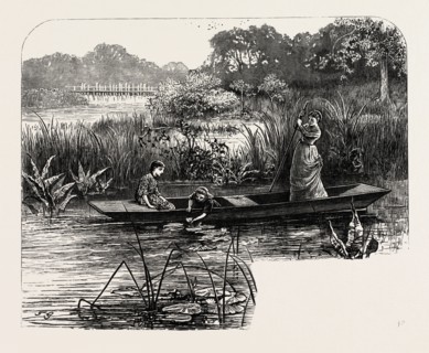 On the Thames, near Pangbourne, UK, britain, british, europe, united kingdom, great britain,