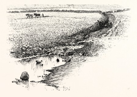 FLODDEN FIELD. The Battle of Flodden or Flodden Field or occasionally Battle of Branxton (