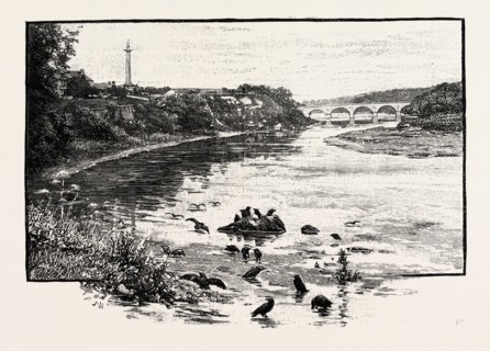 COLDSTREAM BRIDGE, FROM UP-STREAM. Coldstream Bridge, linking Coldstream, Scottish Borders with