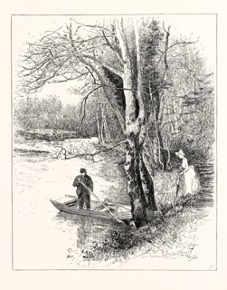 ON THE COQUET, BRINKBURN, UK.  The River Coquet runs through the county of Northumberland, England,