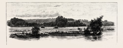 CANNOCK CHASE, FROM THE TRENT, UK. A mixed area of countryside in the county of Staffordshire,
