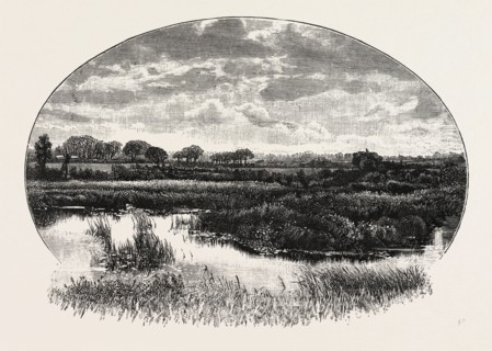 A NORFOLK BROAD, UK