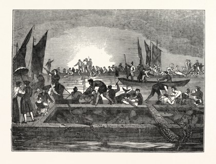 THE TUNNY FISHERY