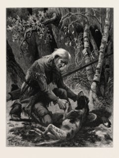 THE DYING HOUND. JOHN S. DAVIS