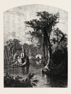 SILVER SPRING, FLORIDA. J.D. WOODWARD. Silver Springs is a U.S. populated place and spring in