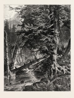 KETTLE RUN, ALTOONA. JOHN A. HOWS. USA