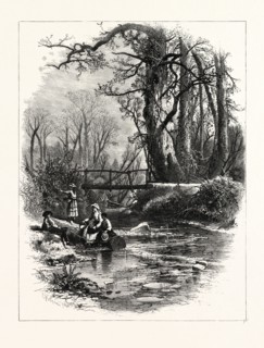 OCTOBER DAYS. J.D. WOODWARD