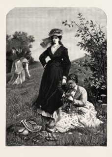 WILD FLOWERS. L. BECHSTEIN
