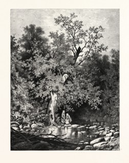 THE STEPPING-STONES, UPPER DELAWARE. A.F. BUNNER. USA