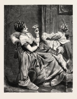 THE RIVALS. JEAN LABAYE