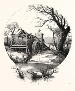WINTER. The trees stand shivering in the frosty air; On the branch and bank lies thick the clinging