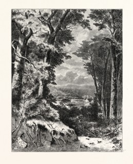 VALLEY OF THE KISKIMINETAS.  John Augustus Hows, 1832 - 1874. USA