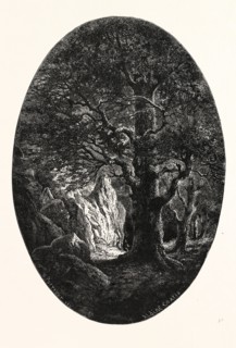 THE HERON'S ROCK. E. PUTTAERT