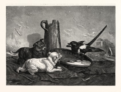 AN UNBIDDEN GUEST. Dogs and bird dinner.