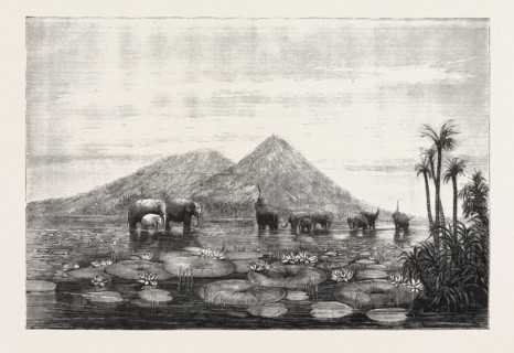 THE GREAT TANK OF MINERY IN THE ISLAND OF CEYLON, CONSTRUCTED BY KING MAHA SEN, 500 YEARS B.C., Sri