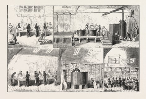 FOOD SUPPLY, MANUFACTURE OF CONDENSED SOUPS, CUTTING-UP THE BEEF, THE CONCENTRATING BOILERS-SORTING