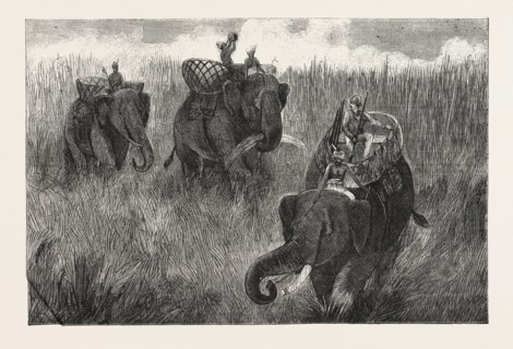 LIFE IN INDIA: TRAVELLING IN BURMA, ENGRAVING 1876