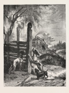 THE BESIEGED FAVOURITE From the Picture by B. y. G. Brandelius ENGRAVING 1876