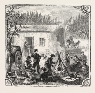 HOPS AND HOP PICKERS, IN A KENTISH HOP GARDEN, KENT, ENGLAND, THE TEMPORARY HOME, ENGRAVING 1876,