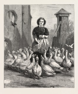 MICHAELMAS GEESE,  THE LAST MEAL, ENGRAVING 1876