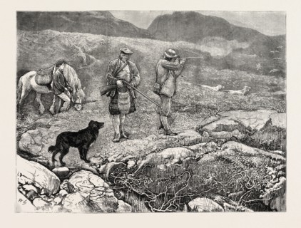 GROUSE SHOOTING, 1870