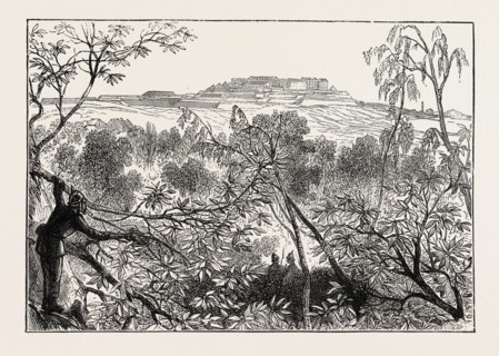 A PEEP AT MONT VALERIEN: THE WOODS OF CELLE ST. CLOUD, FRANCE, 1870