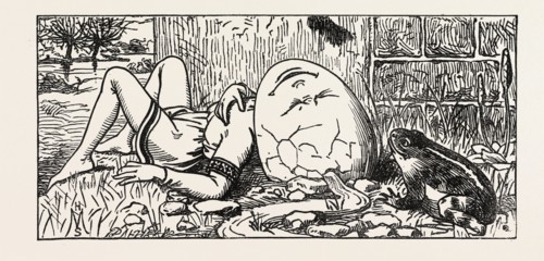 HUMPTY DUMPTY