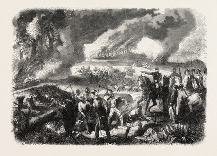 BURNING OF CORK-TREE FORESTS, IN THE DISTRICT OF JEMAPPES, PHILIPVILLE, ALGERIA, 1865