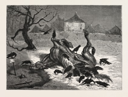 THE FRANCO-PRUSSIAN WAR: THE HORRORS OF WAR: ON THE ROAD TO BEAUGENCY, FRANCE, 1871