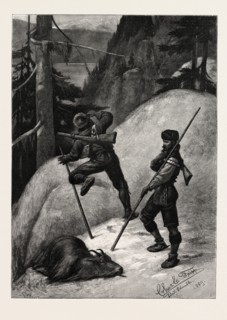 MOUNTAIN GOAT HUNTING IN BRITISH COLUMBIA, Engraving 1890