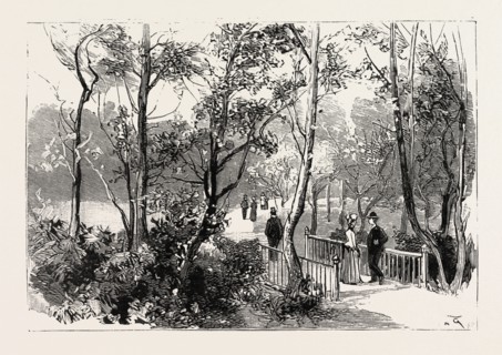 BOURNEMOUTH, VIEW IN PUBLIC GARDENS, ENGRAVING 1890, UK, britain, british, europe, united kingdom,