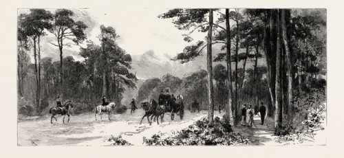 BOURNEMOUTH, GERVIS ROAD, engraving 1890, UK, U.K., Britain, British, Europe, United Kingdom, Great