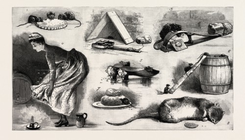 THE RAT PLAGUE IN THE COUNTRY, 3. La Grippe, engraving 1890