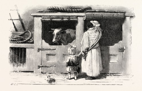 ON A PENINSULAR AND ORIENTAL COMPANY'S STEAMER, engraving 1890