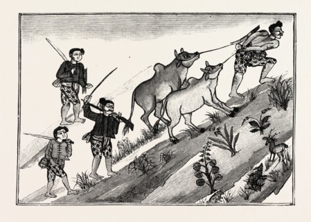 LIFE OF A BURMESE DACOIT, BUT ON REACHING MAN'S ESTATE JOINS A BAND OF DACOITS AND CATTLE LIFTERS,