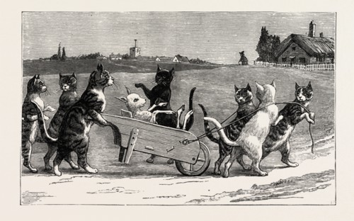She wished them good night, and went up to bed; When to ! in the morning, The cats were all fled.