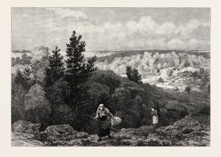 GORGE FRANCHARD, FOREST OF FONTAINEBLEAU, FRANCE, 19th century engraving