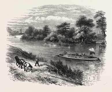 Magna Charta Island, UK, U.K., Britain, British, Europe, United Kingdom, Great Britain, European,